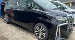 Toyota Alphard 2.5 S C Package